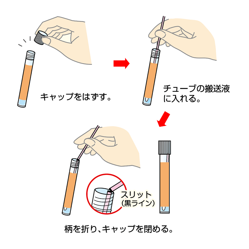 ピンクスワブを搬送用チューブに入れる